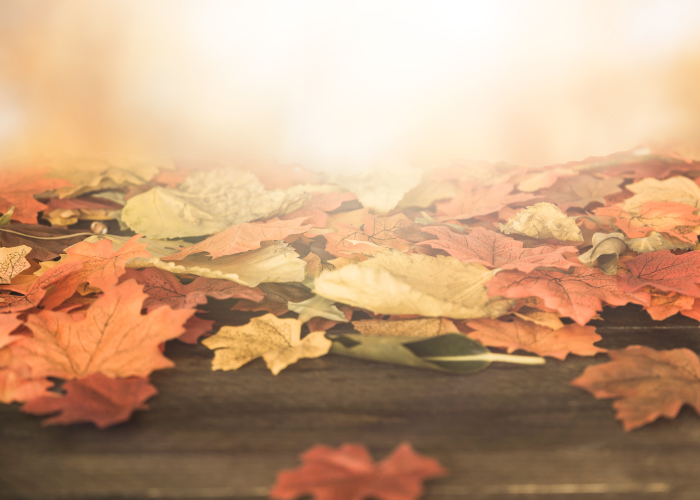 autumn-leaves-WEB